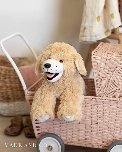 DIY Plush Kit | Puppy | Stuffed Animal